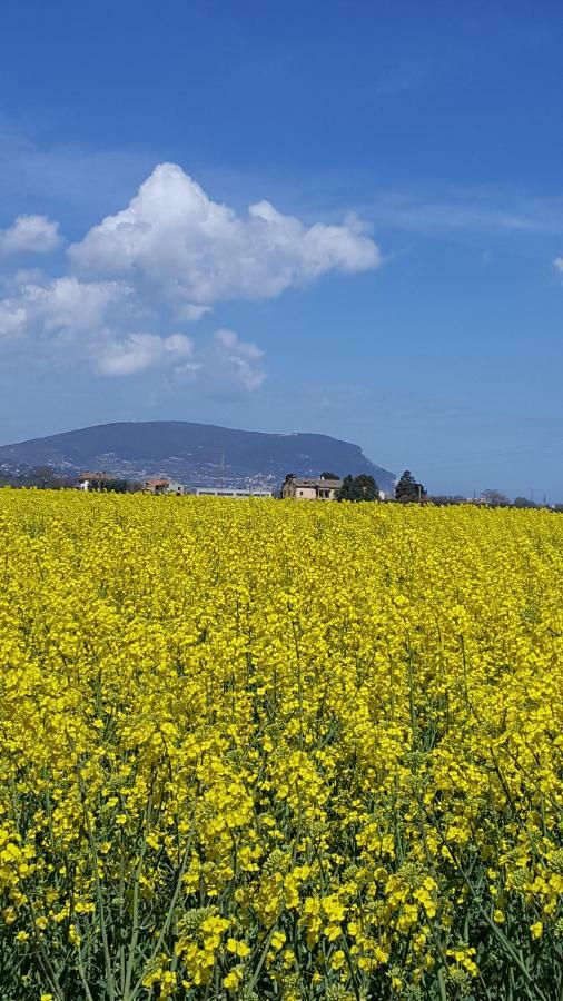 Villetta Del Conero Porto Recanati Exteriér fotografie