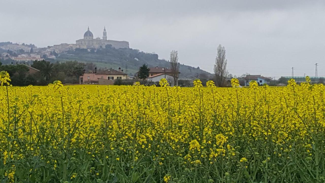 Villetta Del Conero Porto Recanati Exteriér fotografie